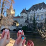 015e1066-eeb6-4390-beb9-7e598a8470b2