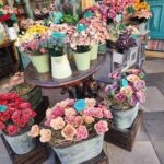 571cff44-40de-4e77-bf2b-7e6cfda1c7ff